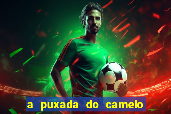 a puxada do camelo no jogo do bicho